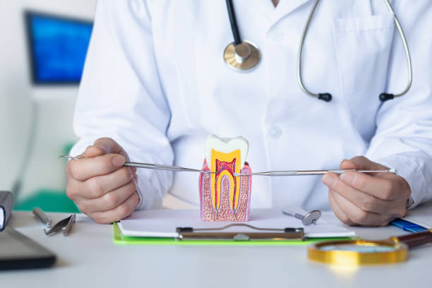 Best Emergency Root Canal Treatment in Lynn, IN